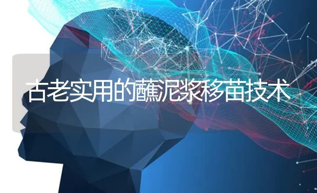 古老实用的蘸泥浆移苗技术 | 养殖技术大全