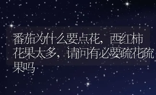 番茄为什么要点花,西红柿花果太多，请问有必要疏花疏果吗 | 养殖学堂