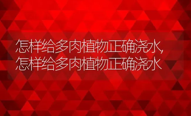 怎样给多肉植物正确浇水,怎样给多肉植物正确浇水 | 养殖科普