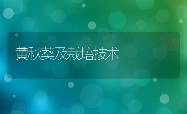 黄秋葵及栽培技术 | 养殖技术大全
