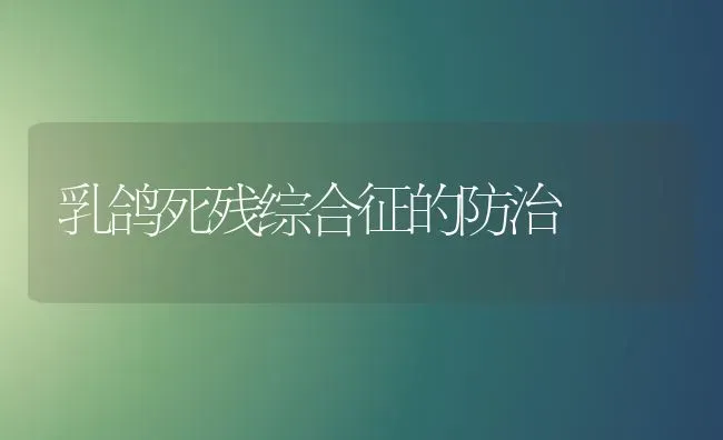 乳鸽死残综合征的防治 | 养殖技术大全