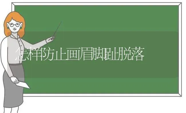 怎样防止画眉脚趾脱落 | 养殖技术大全