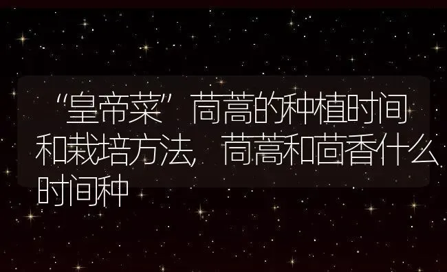 “皇帝菜”茼蒿的种植时间和栽培方法,茼蒿和茴香什么时间种 | 养殖学堂