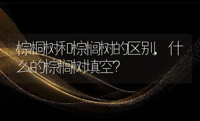 棕桐树和棕榈树的区别,什么的棕榈树填空？ | 养殖科普