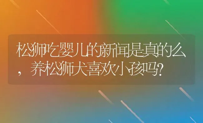 松狮吃婴儿的新闻是真的么,养松狮犬喜欢小孩吗？ | 养殖学堂