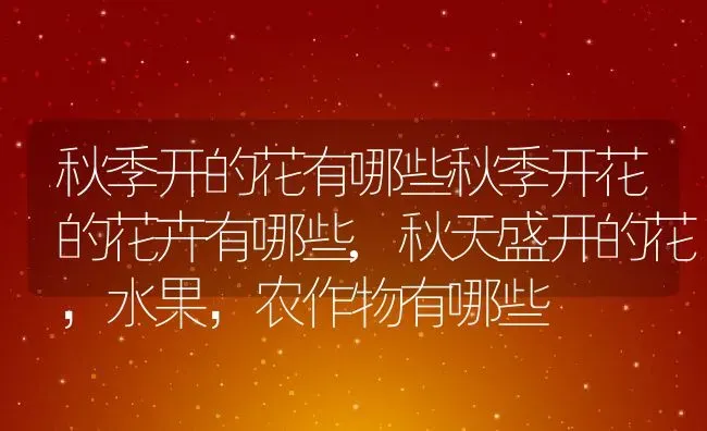 秋季开的花有哪些秋季开花的花卉有哪些,秋天盛开的花，水果，农作物有哪些 | 养殖学堂