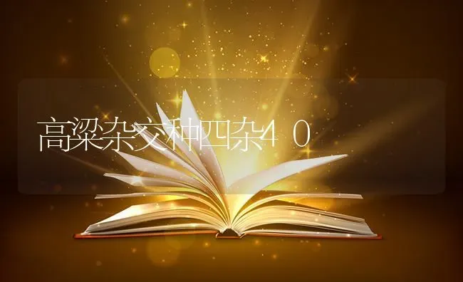 高粱杂交种四杂40 | 养殖技术大全