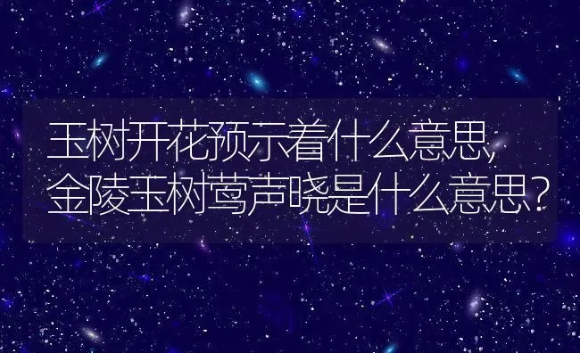 玉树开花预示着什么意思,金陵玉树莺声晓是什么意思？ | 养殖科普