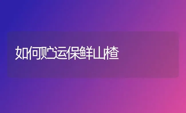 如何贮运保鲜山楂 | 养殖知识