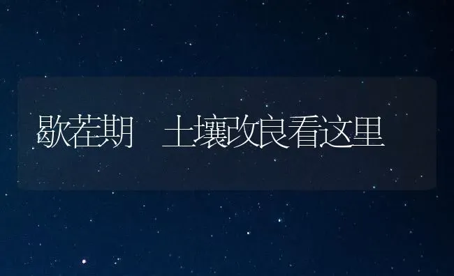 歇茬期 土壤改良看这里 | 养殖技术大全