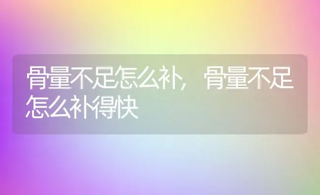 骨量不足怎么补,骨量不足怎么补得快 | 养殖科普