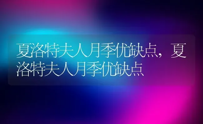 夏洛特夫人月季优缺点,夏洛特夫人月季优缺点 | 养殖学堂