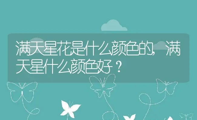 满天星花是什么颜色的,满天星什么颜色好？ | 养殖科普