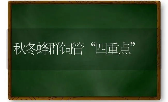 秋冬蜂群饲管“四重点” | 养殖知识