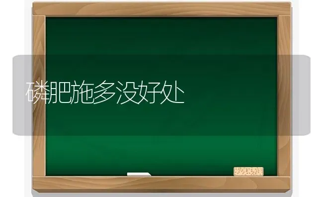 磷肥施多没好处 | 养殖知识