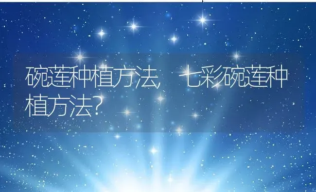 碗莲种植方法,七彩碗莲种植方法？ | 养殖科普