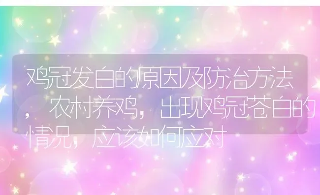 鸡冠发白的原因及防治方法,农村养鸡，出现鸡冠苍白的情况，应该如何应对 | 养殖学堂