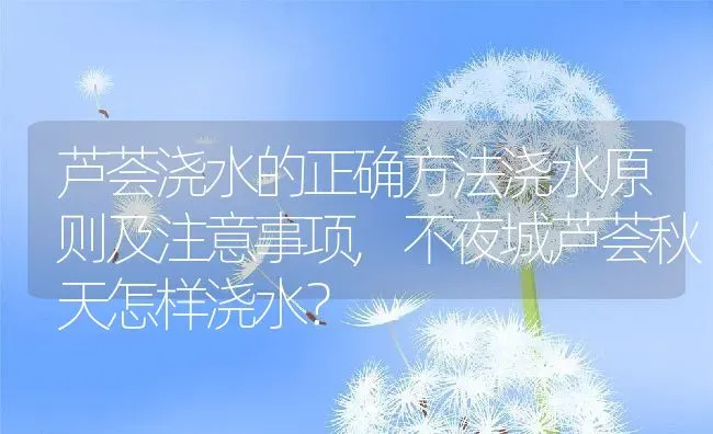 芦荟浇水的正确方法浇水原则及注意事项,不夜城芦荟秋天怎样浇水？ | 养殖科普