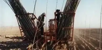 大苗植树机的使用及保养 | 三农知识