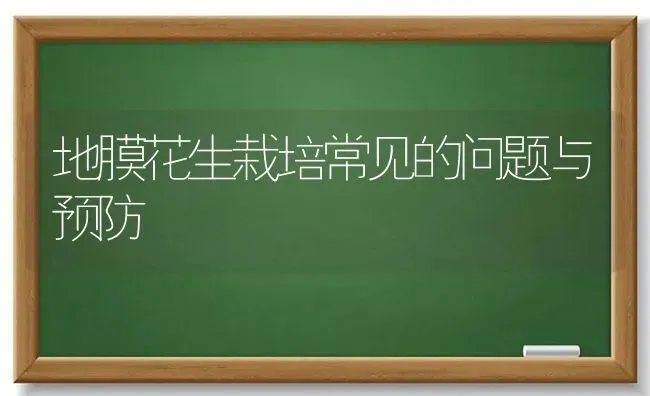 地膜花生栽培常见的问题与预防 | 养殖技术大全