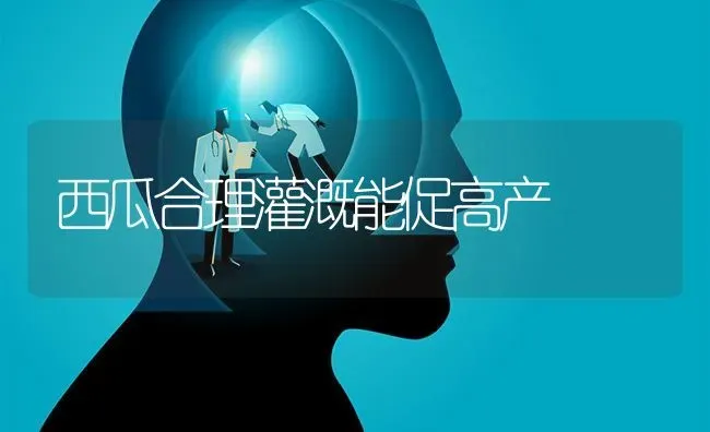 佛手瓜中后期管理技术 | 养殖知识