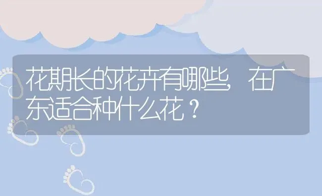 花期长的花卉有哪些,在广东适合种什么花？ | 养殖科普