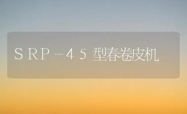 SRP-45型春卷皮机 | 养殖技术大全