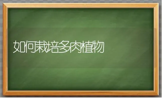 如何栽培多肉植物 | 养殖知识