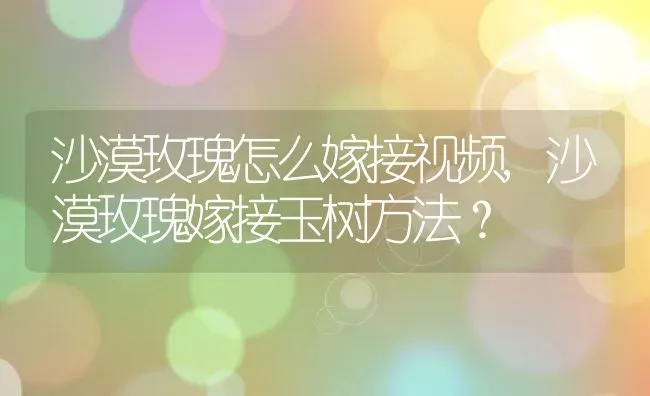 沙漠玫瑰怎么嫁接视频,沙漠玫瑰嫁接玉树方法？ | 养殖学堂