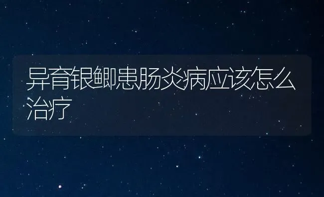 异育银鲫患肠炎病应该怎么治疗 | 养殖技术大全