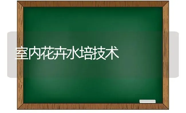 室内花卉水培技术 | 养殖技术大全