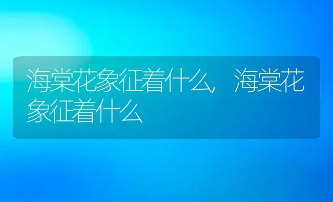海棠花象征着什么,海棠花象征着什么 | 养殖科普