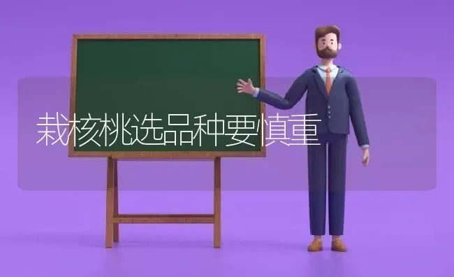 栽核桃选品种要慎重 | 养殖技术大全