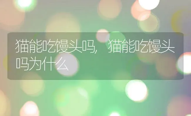 猫能吃馒头吗,猫能吃馒头吗为什么 | 养殖资料