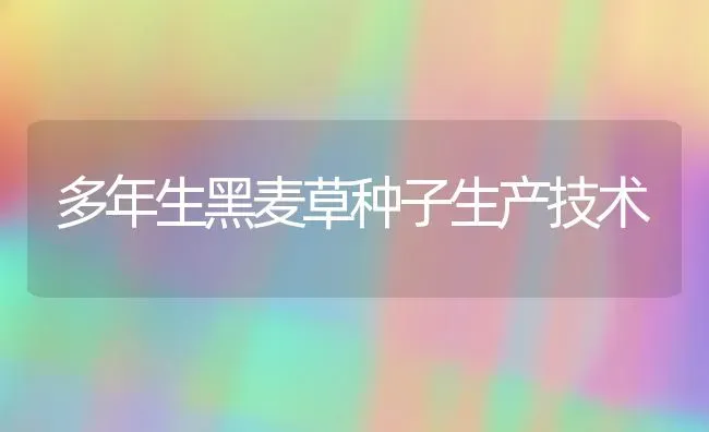 多年生黑麦草种子生产技术 | 养殖技术大全