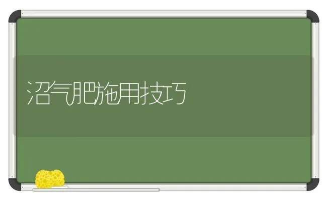 沼气肥施用技巧 | 养殖技术大全