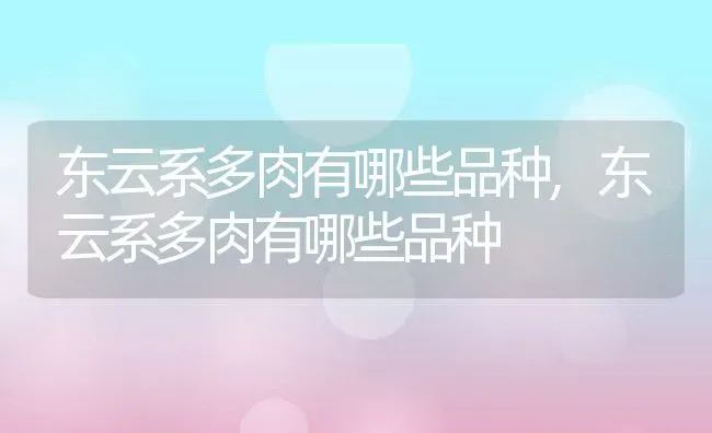 东云系多肉有哪些品种,东云系多肉有哪些品种 | 养殖科普