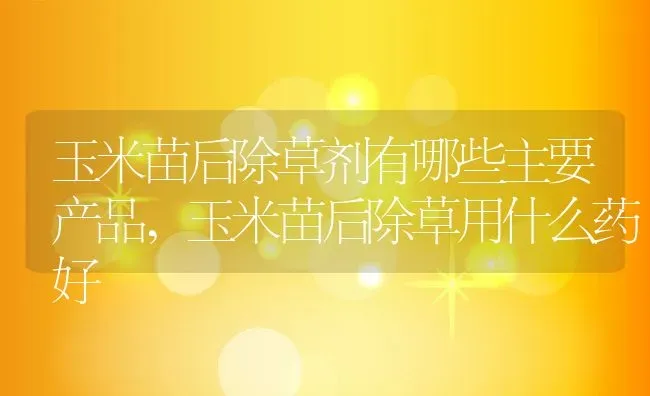 玉米苗后除草剂有哪些主要产品,玉米苗后除草用什么药好 | 养殖学堂