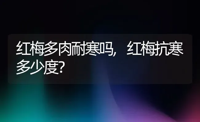 红梅多肉耐寒吗,红梅抗寒多少度？ | 养殖科普