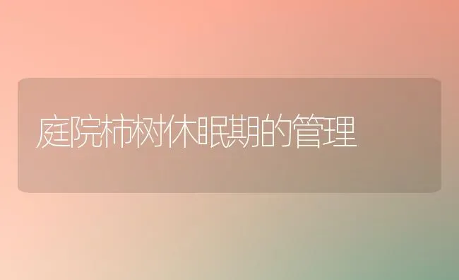 庭院柿树休眠期的管理 | 养殖知识