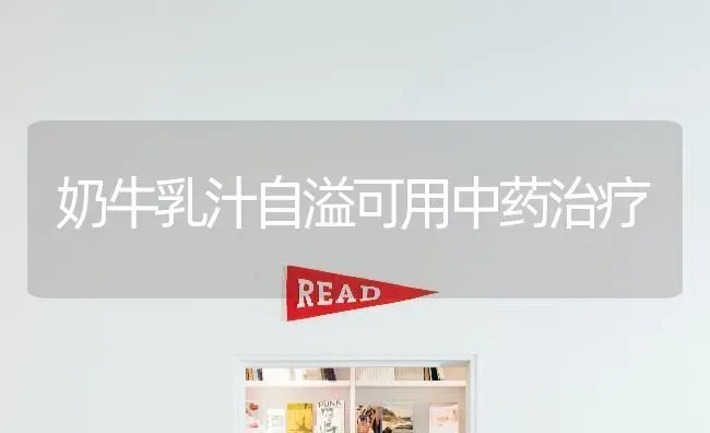 奶牛乳汁自溢可用中药治疗 | 养殖知识