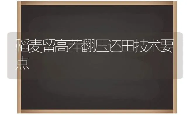 稻麦留高茬翻压还田技术要点 | 养殖知识