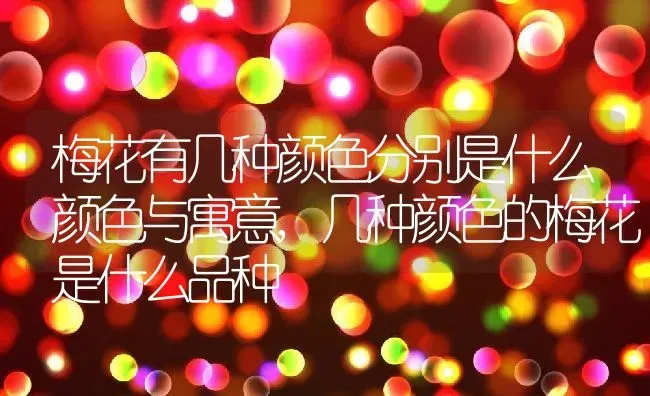 梅花有几种颜色分别是什么颜色与寓意,几种颜色的梅花是什么品种 | 养殖学堂