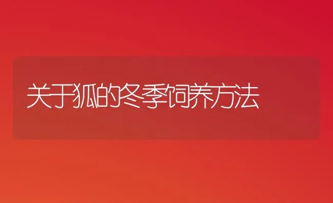 关于狐的冬季饲养方法 | 养殖知识