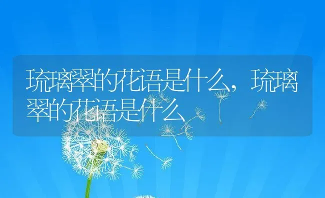 琉璃翠的花语是什么,琉璃翠的花语是什么 | 养殖科普