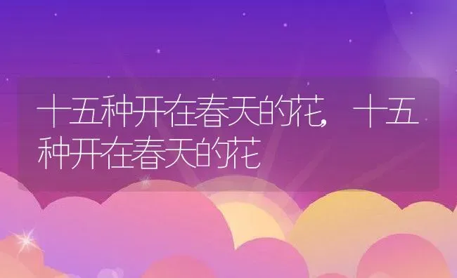 十五种开在春天的花,十五种开在春天的花 | 养殖科普