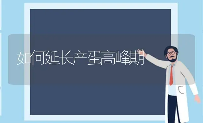如何延长产蛋高峰期 | 养殖技术大全
