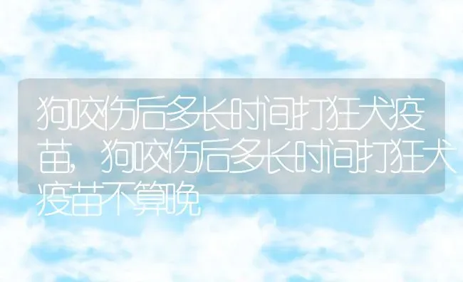 狗咬伤后多长时间打狂犬疫苗,狗咬伤后多长时间打狂犬疫苗不算晚 | 养殖科普
