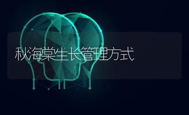 秋海棠生长管理方式 | 养殖知识