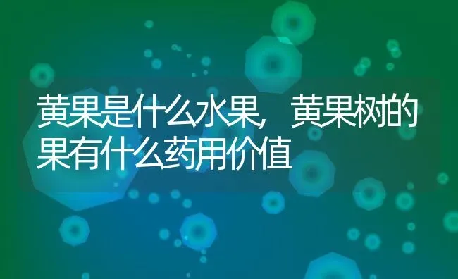 黄果是什么水果,黄果树的果有什么药用价值 | 养殖科普